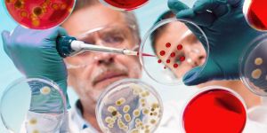 Genotoxicity, Carcinogenicity and Mutagenicity Studies