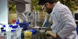 Toxicokinetic and Bioanalytical Services