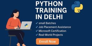 Python Training Institute