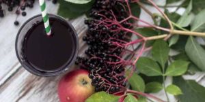 Elderberry Juice Concentrate