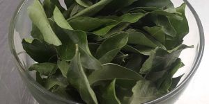 Frozen Curry Leaves