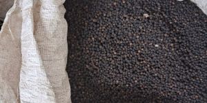 Pepper Seeds