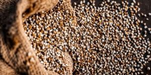 Rasveda Bajra Millets