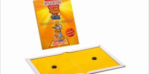 Regular Cardboard Rat Glue Trap