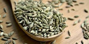 Green Natural Fennel Seeds
