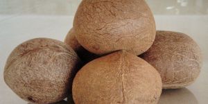 Whole Dry Copra Coconut