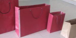 Fancy Printed Paper Bag