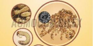 Nemacure Natural Crop Protection Immunomodulator