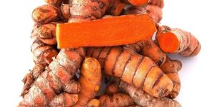 Raw Turmeric Finger