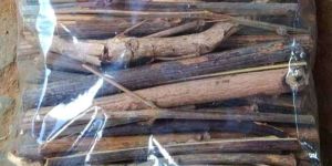 palash purasu wooden sticks