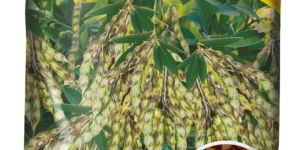 ICPL-87 Arhar Seeds