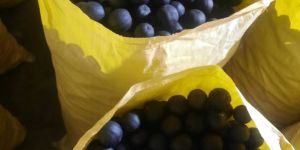 Dehydrated Black Lemon