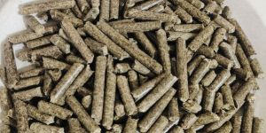 Biomass Pellet