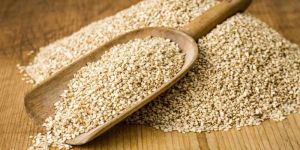 Natural Sesame Seed