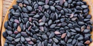 Premium Quality Black Sesame Seeds