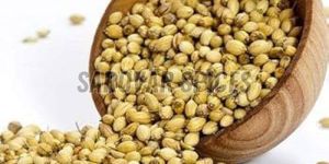 Coriander Seeds