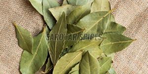 Dried Bay Leaves
