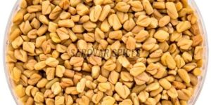 Fenugreek Seeds