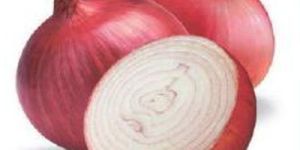 Phule Samarth Onion Seeds