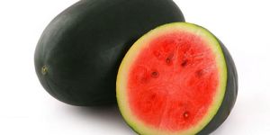 Sugar Box Watermelon Seeds