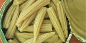 A Grade Canned Baby Corn