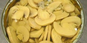 Canned Button Mushroom