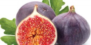 A Grade Frozen Fig Slice