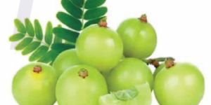 Sour Light Green Frozen Gooseberry