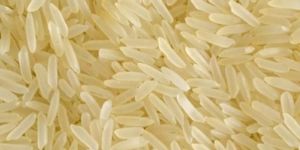 Golden IR64 Parboiled Rice