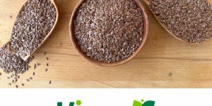 Flax Seeds