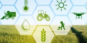 Agro Engineering Support Services