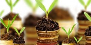 Agro Financial Management Advisory Services