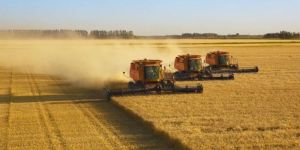 Agro Logistics Services