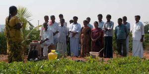 Training and Skill Development Services