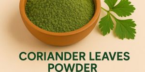 Dehydrated Coriander Leaves Powder