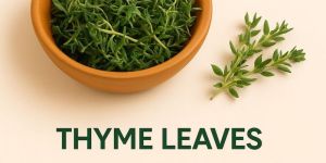 Dry Thyme Leaves