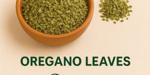 Green Dried Oregano Leaves