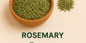 Green Rosemary Dry Leaves