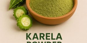 Karela Powder