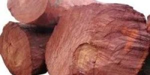 Red Sandalwood