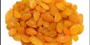 Dried Golden Raisin