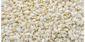 White Sesame Seeds