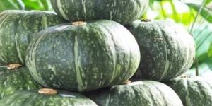 Organic Pumpkin