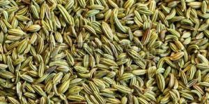 Fennel Seeds