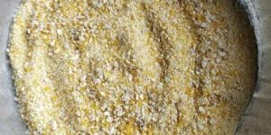 Maize Cattle Feed