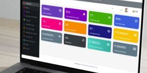 Microfinance Web Development