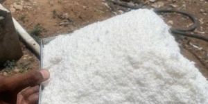 Dessicated Coconut Powder