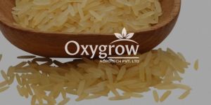 1718 Golden Sella Basmati Rice