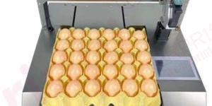 Ridhi Egg Stamping-Coding Machine
