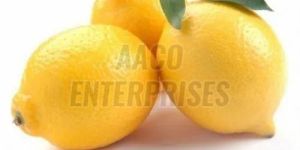 Fresh Lemon